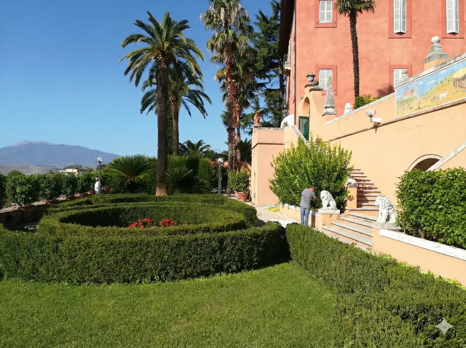 Manutenzione Giardini Professionale