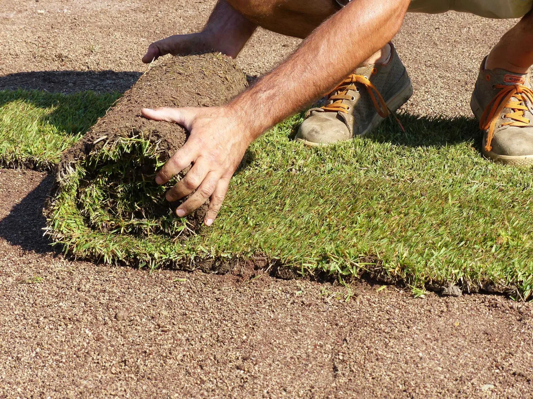 "Country" Lawn - The Classic English Lawn