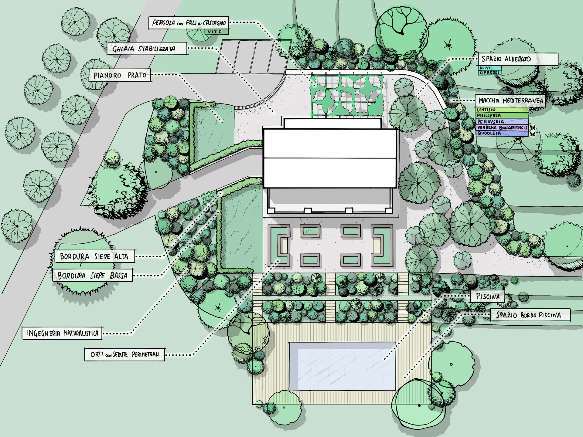 Giardino progettato da Arte Verde con prato verde, piante ornamentali e percorsi in pietra